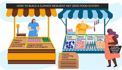 Editorial: Climate science, solutions and services for net zero, climate-resilient food systems